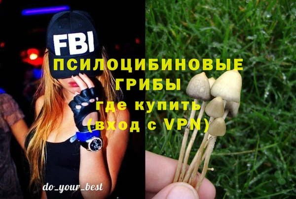 гидропоника Абдулино