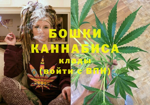 хмурый Абаза