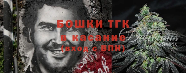 молекула духа Абинск