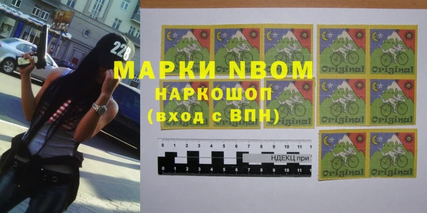 хмурый Абаза