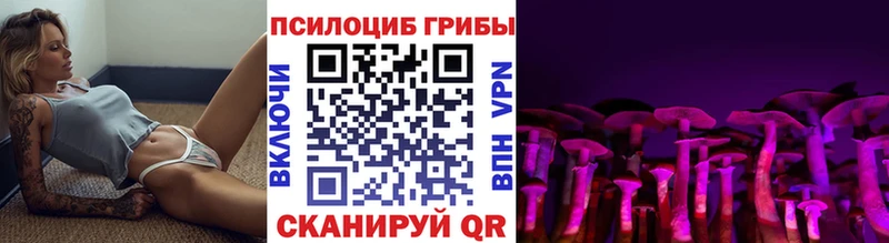 магазин продажи наркотиков блэк спрут сайт Псилоцибиновые грибы GOLDEN TEACHER Зубцов